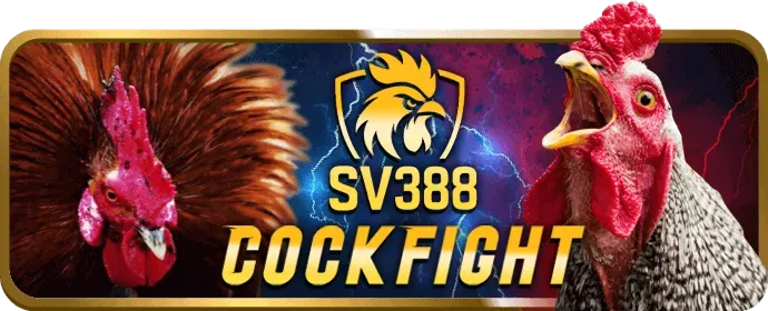 Giao diện casino trực tuyến của bmw88 với bàn Baccarat và dealer thật